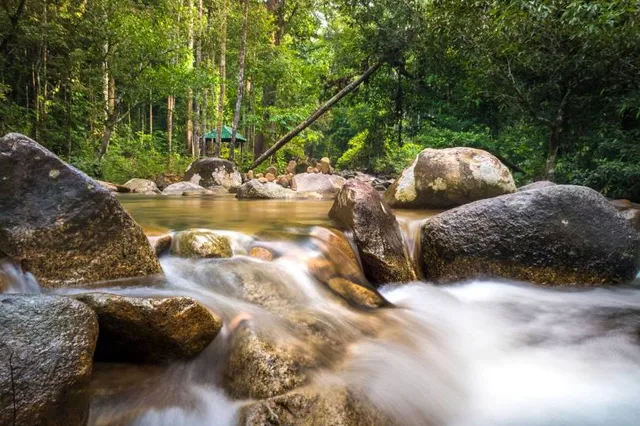 Recreational Forest Sungai Bantang