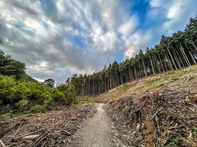 Traumschleife Romika Weg