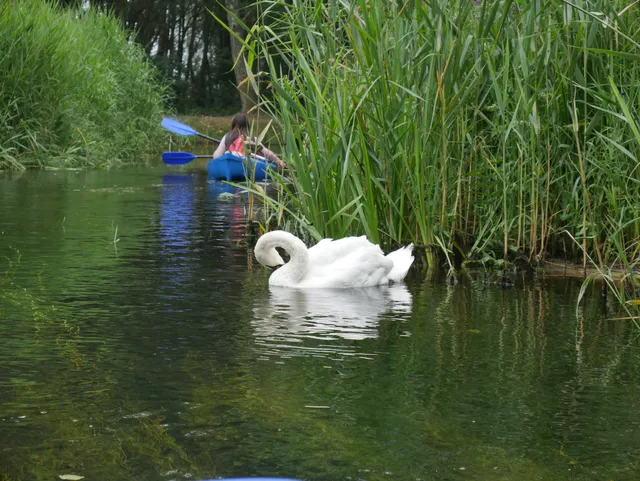 Rezerwat "Piaśnickie Łąki"