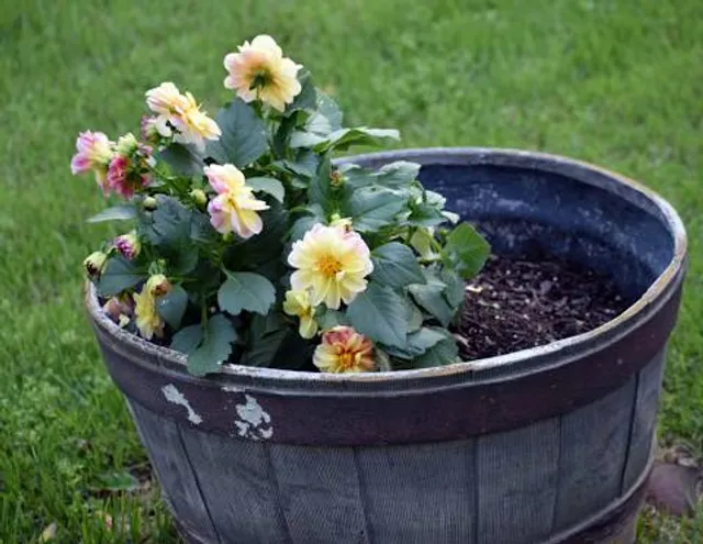 Mini Magyarország Makettpark