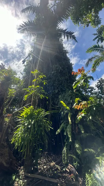 Ekasup Cultural Village