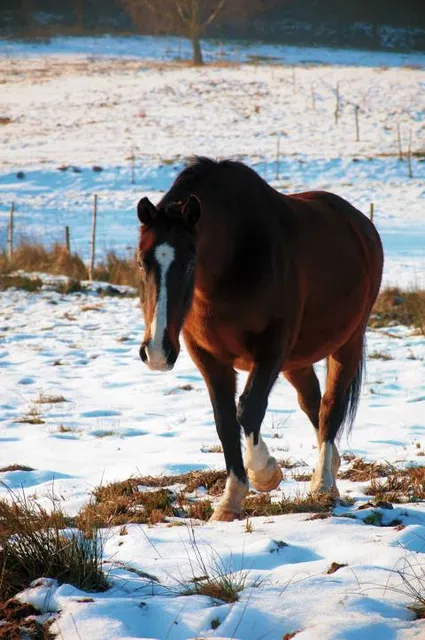 Renacland the aquapark - Cantal