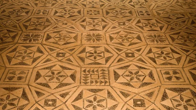 Casa dels Dofins - Museu de Badalona