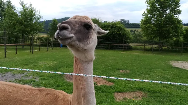 Theme park Rotfelden OHG