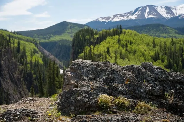 Willmore Wilderness Park