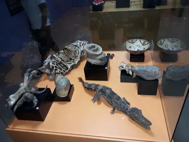 Ethno-Archaeological Museum Puyo