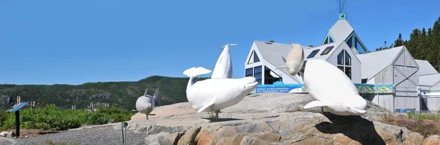 Marine Mammal Interpretation Centre