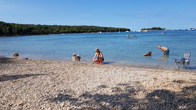 plaža Veštar