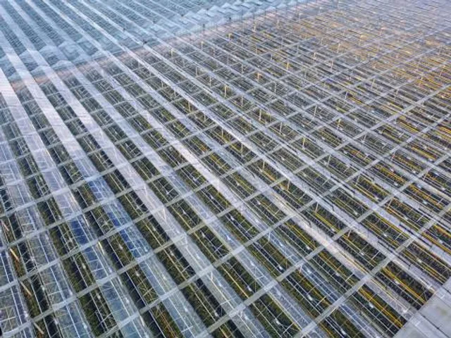 Snaigynas-Veisiejai Observation Tower