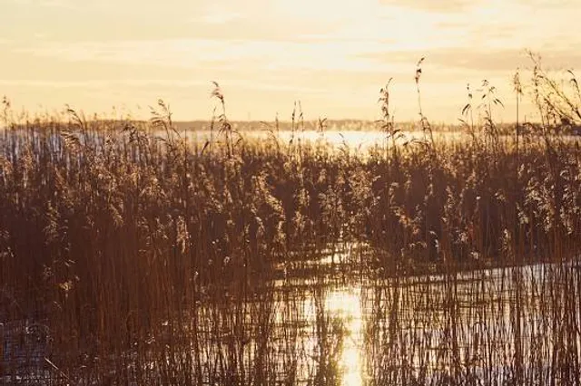 Elektrėnai Reservoir