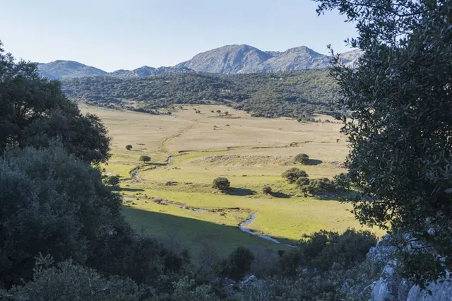 Llanos del Republicano