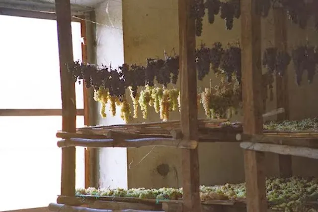 Buccelletti Casali & Cantina