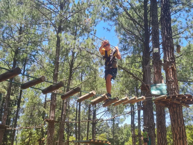 Johannesburg Ward 32