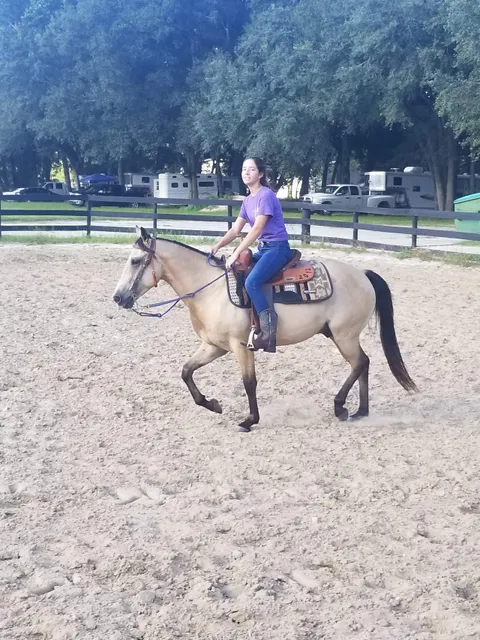 Williston Horseman's Park