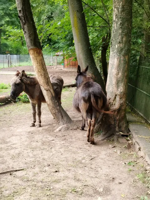 Walbeck Zoo