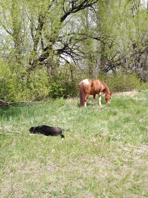 Camp George West Baseball Field