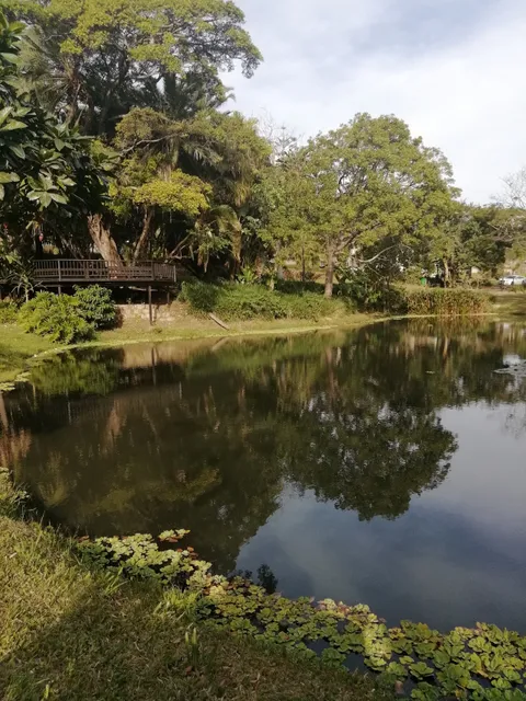 Amanzimtoti Japanese Gardens