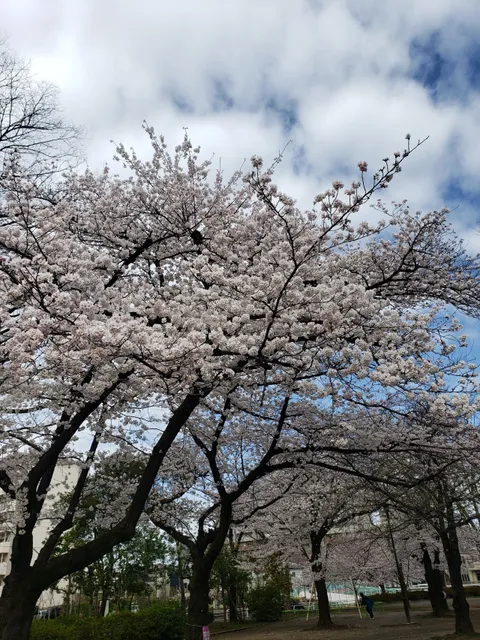 Narimasu Kita 1st Park