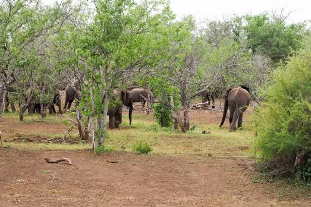 Northern Tuli Game Reserve