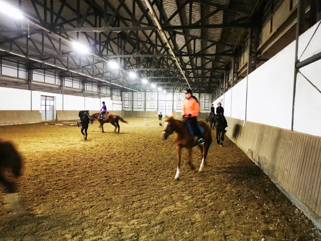 Helyőmenti lovaspark