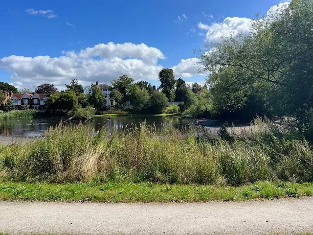Prickend Pond - Chislehurst Commons