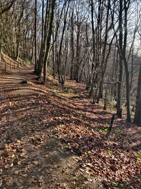 Sentier du Mont Noir