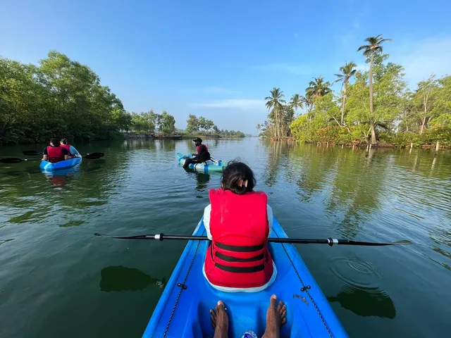 Varkala Mangrove kayaking