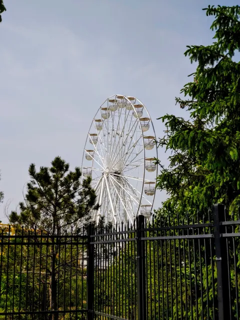 Rides At Adventure Cove