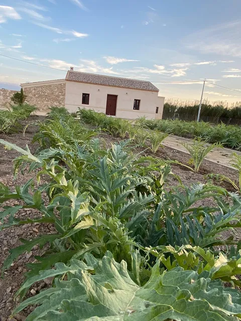 Ecomuseo de Almoradí