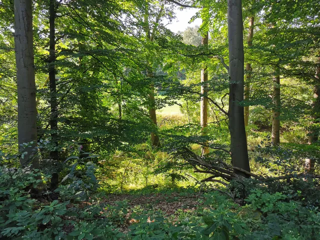 Nordpfad Kuhbach-Oste