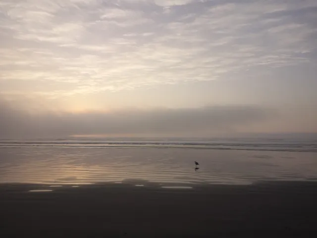 Seaside Beach North Promenade
