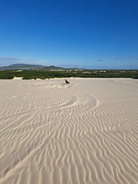 Caminho da Duna Mãe