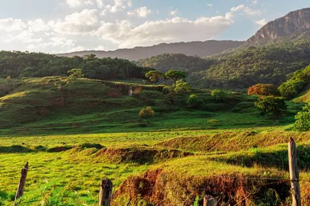 the Royal Road Automobile Museum
