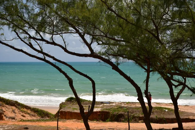 Pinheiros - Via Costeira