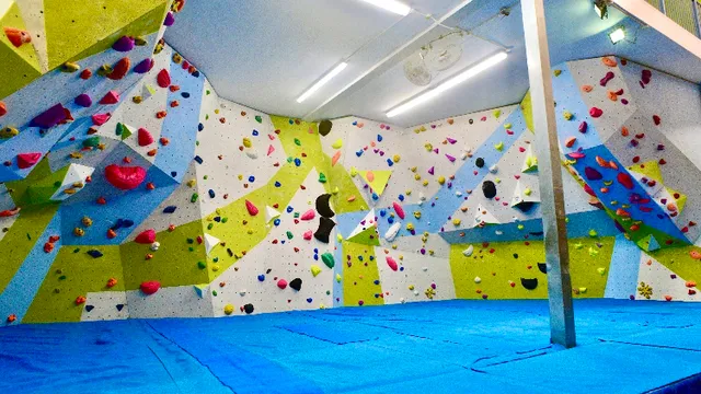 Blue Spider Climbing