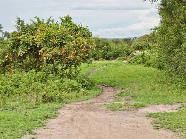 Gołubieński Botanical Garden