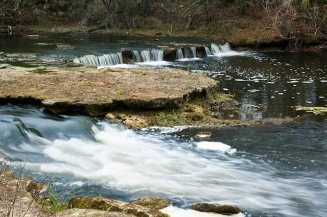 Steinhatchee Falls