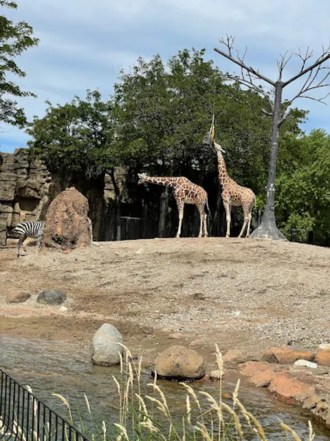 Robert and Mayari Pritzker Penguin Cove