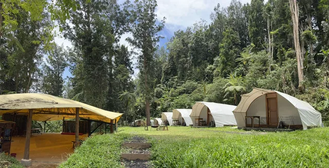 Glamping Lembah Purba