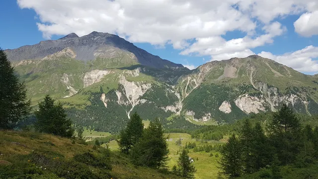 Riserva forestale della Selvasecca