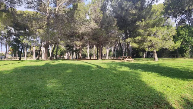 Parco Villa Corridi