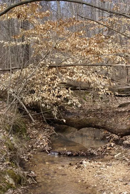 Trail of Tears State Park