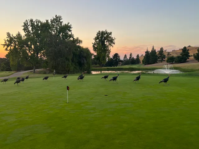 Boundary Oak Golf Course