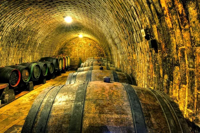 Winery Zbyněk Osička