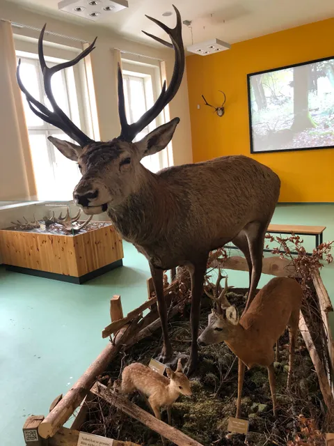 Environmental Center Šumava