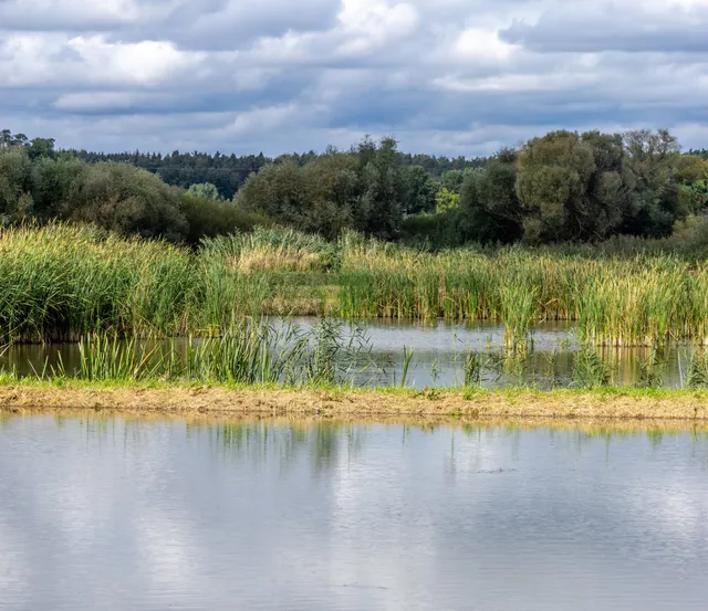 Vogelfreistätte Weihergebiet bei Mohrhof