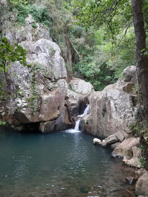Parque Natural Los Alcornocales