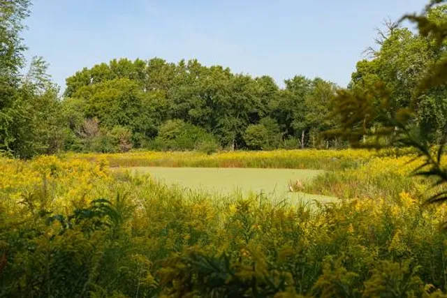 Chicago Portage National Historic Site
