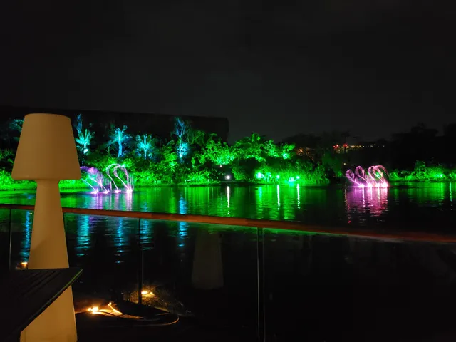 Lake Show at Vidanta Nuevo Vallarta