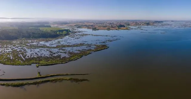 Irthlingborough Lakes And Meadows